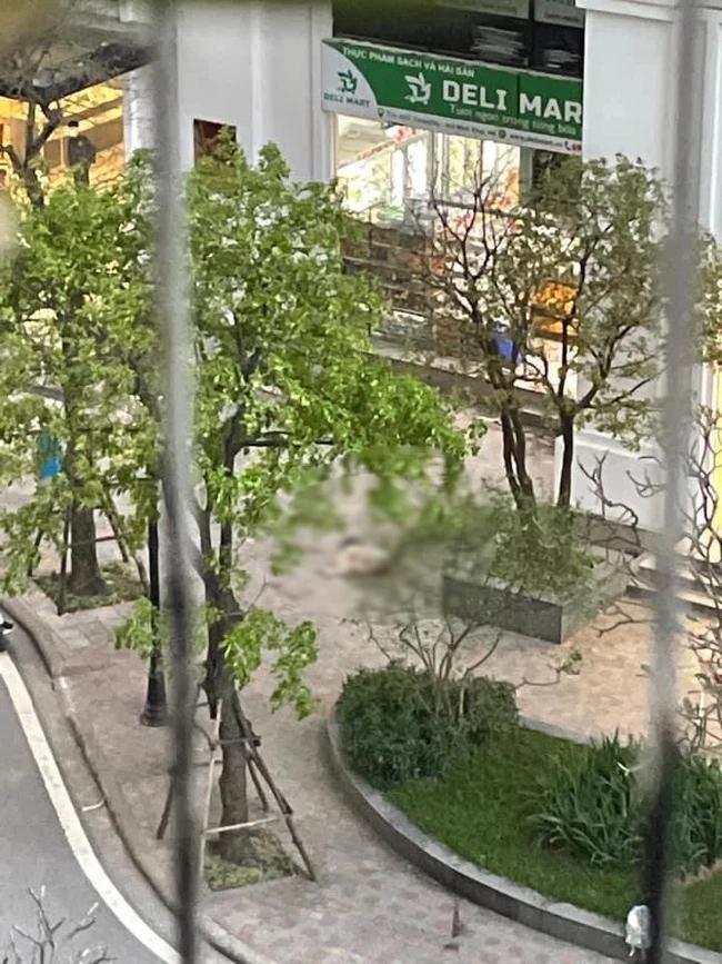 Nghi do áp lực học hành, bé gái rơi từ tầng 26 chung cư ở Hà Nội-1