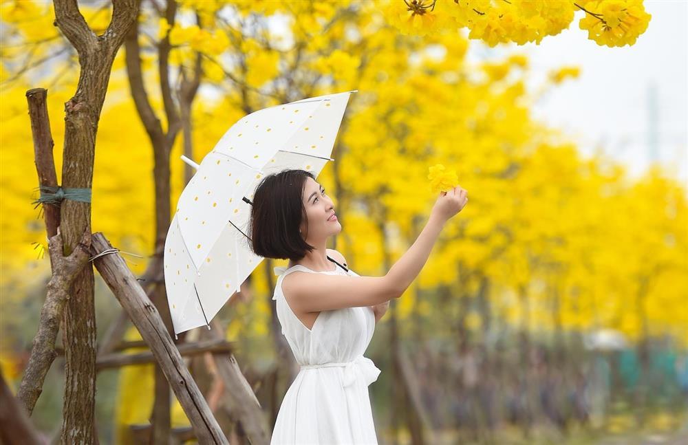 Kiếm cả chục triệu đồng mỗi ngày nhờ hoa phong linh-2