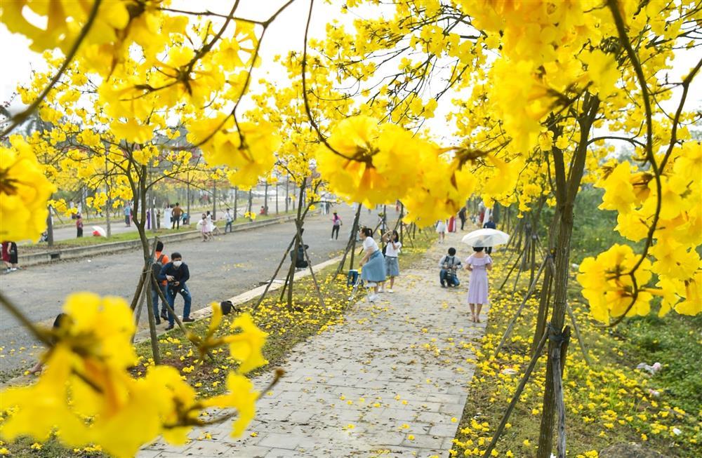 Kiếm cả chục triệu đồng mỗi ngày nhờ hoa phong linh-4