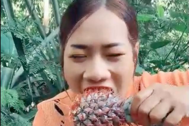 The Thai girl was shocked when she insisted that she had to eat pineapple with the skin on