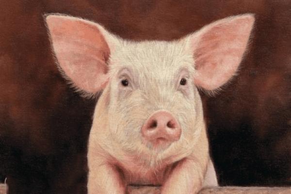 Tử vi hàng ngày 12 con giáp thứ Sáu 25/3/2022: Mùi không thích tiền-5