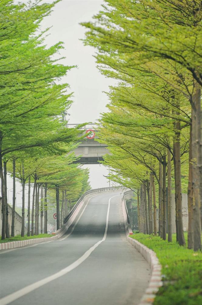 Hà Nội cựa mình chuyển mùa, sắc xanh ngợp trời hệt như phim Hàn-2