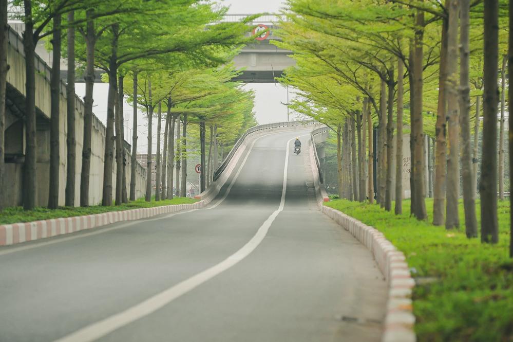 Hà Nội cựa mình chuyển mùa, sắc xanh ngợp trời hệt như phim Hàn-4