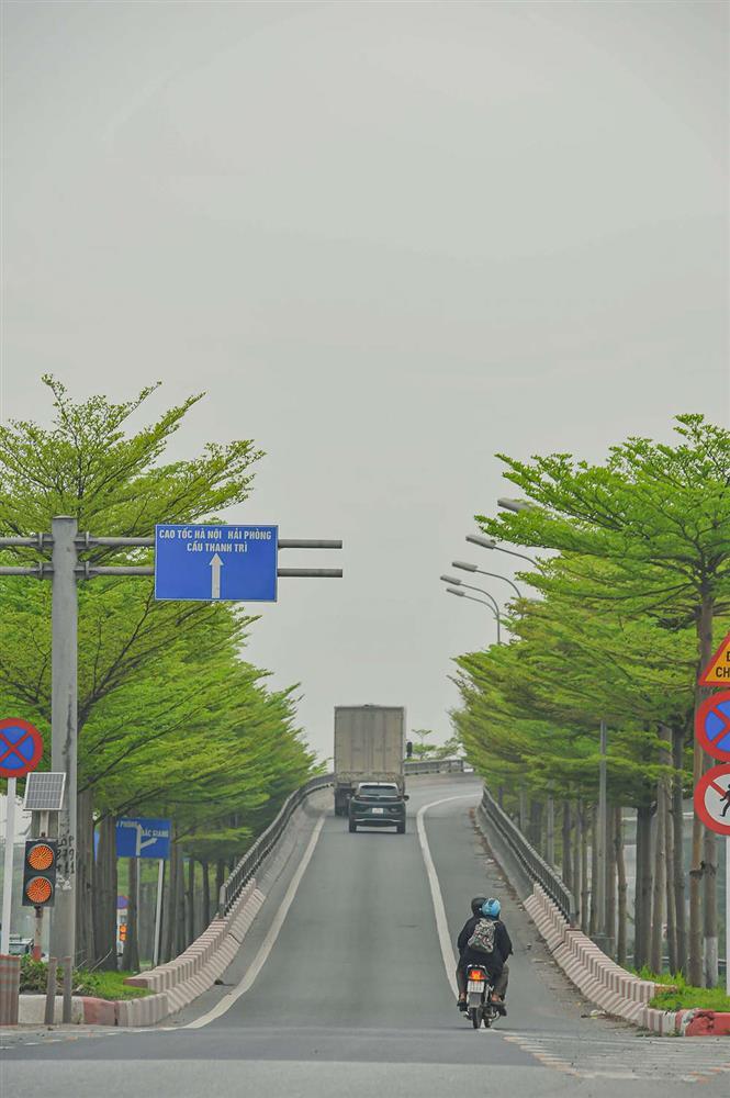 Hà Nội cựa mình chuyển mùa, sắc xanh ngợp trời hệt như phim Hàn-6