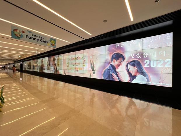 Đám cưới Hyun Bin - Son Ye Jin được chạy chiến dịch chưa từng có-4