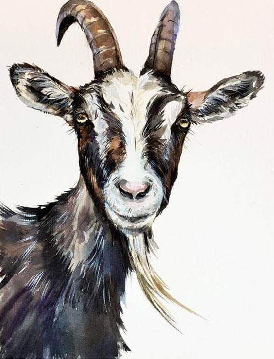 Tử vi hàng ngày 12 con giáp thứ Sáu 25/3/2022: Mùi không thích tiền-3