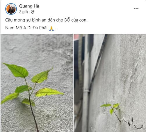 Bố đẻ Quang Hà lâm bệnh nặng, dàn sao Việt cùng cầu nguyện-2