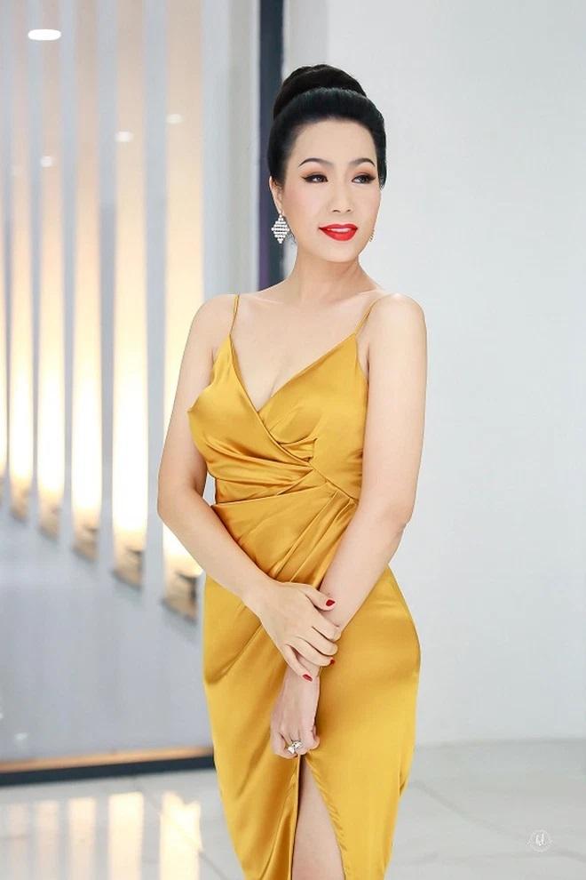 Những nghệ sĩ từng đệ đơn tố cáo bà Nguyễn Phương Hằng-5