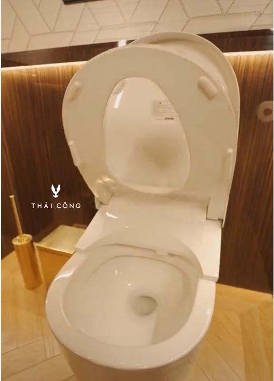 Designer Thai Cong teaches men to go to the toilet, netizens only look at the toilet-4