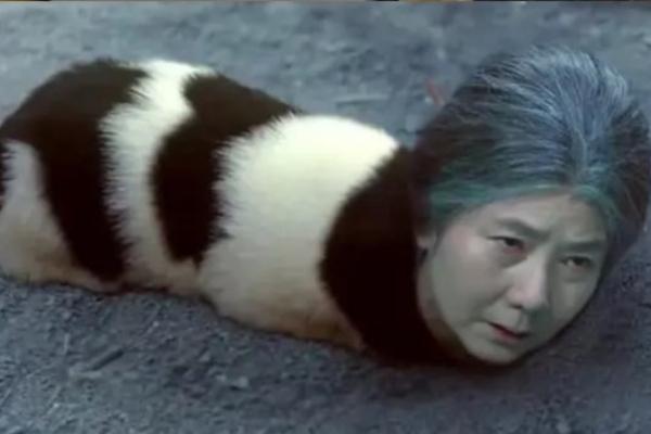 Ỷ Thiên Đồ Long Ký và loạt phim làm mới lại bản kinh điển gây tranh cãi-8