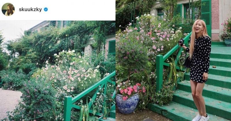 Rosé BLACKPINK và Suzy bất ngờ lộ hàng loạt hint hẹn hò-2