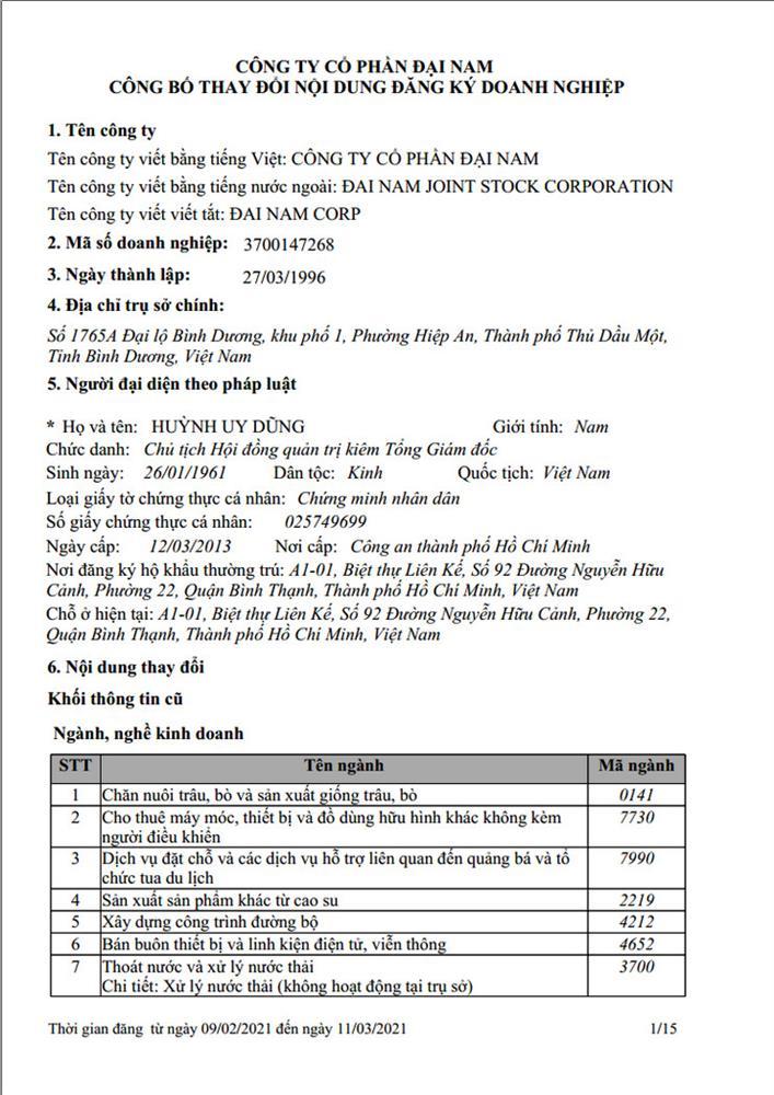 Chức danh thật của Nguyễn Phương Hằng tại Đại Nam trước khi bị bắt-3