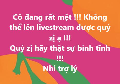 Phương Hằng đang bị tạm giam hay đã được tại ngoại?-2