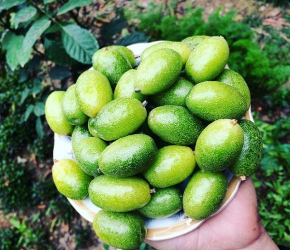 Món canh chua nhót xanh nấu nhanh, bổ dưỡng lại ngon miệng-1