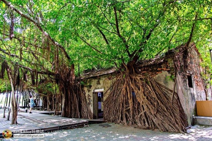 200-year-old magical tree house attracts tourists-2