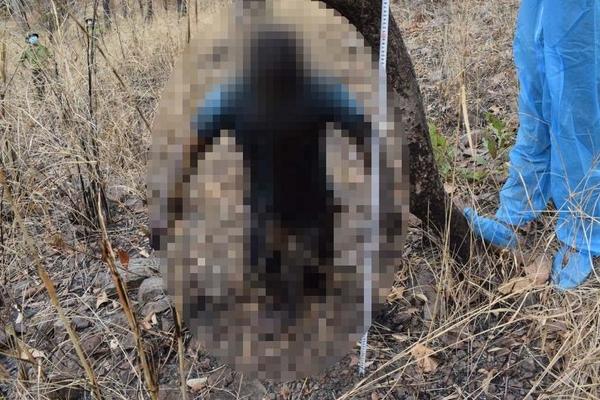 The horrifying truth behind the man’s body hanging in the forest