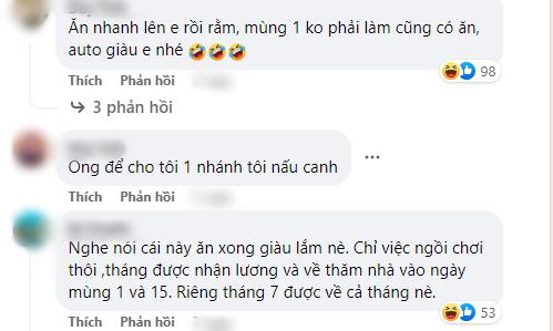 Cây kim tiền xuất hiện vật lạ, dân mạng hài hước hiến kế cách sử dụng-6