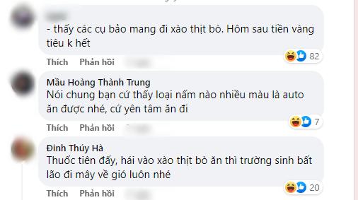 Cây kim tiền xuất hiện vật lạ, dân mạng hài hước hiến kế cách sử dụng-7
