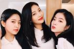 1 nhạc sĩ người Việt sáng tác gửi Red Velvet nhưng chưa được hồi âm-4