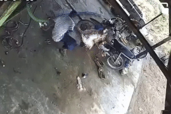 Người vợ được chồng nắm chặt tay ở ban công trong đám cháy đã qua đời-2