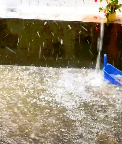 Đà Lạt xuất hiện mưa đá lớn chưa từng có-2