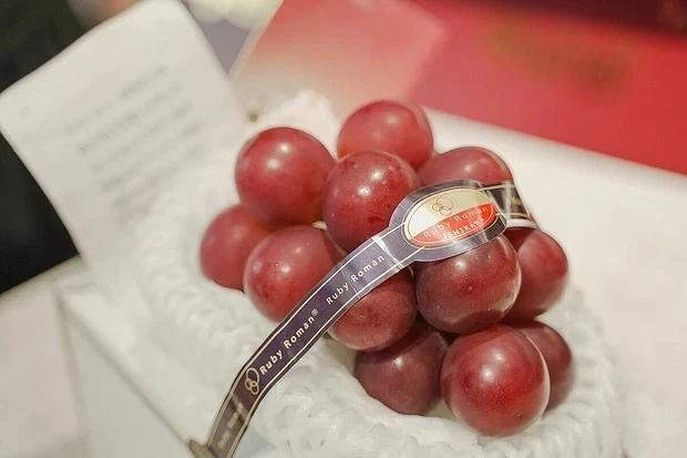 Tran Thanh was given the most expensive bunch of grapes in the world, costing nearly 2 gold -2