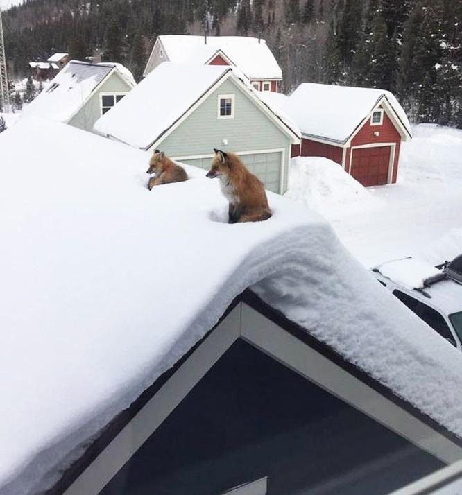 Những khám phá bất ngờ ở những nơi ít ai ngờ tới nhất-12