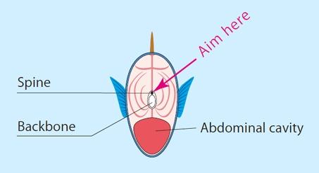 Kỹ nghệ chế biến cá nhân đạo của người Nhật Bản-5
