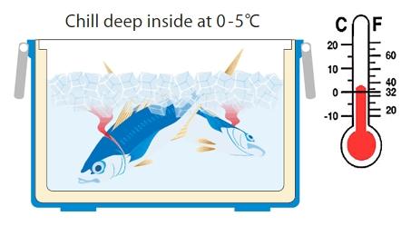 Kỹ nghệ chế biến cá nhân đạo của người Nhật Bản-6