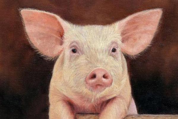 Tử vi hàng ngày 12 con giáp thứ Năm 31/3/2022: Tý bị trách móc-5