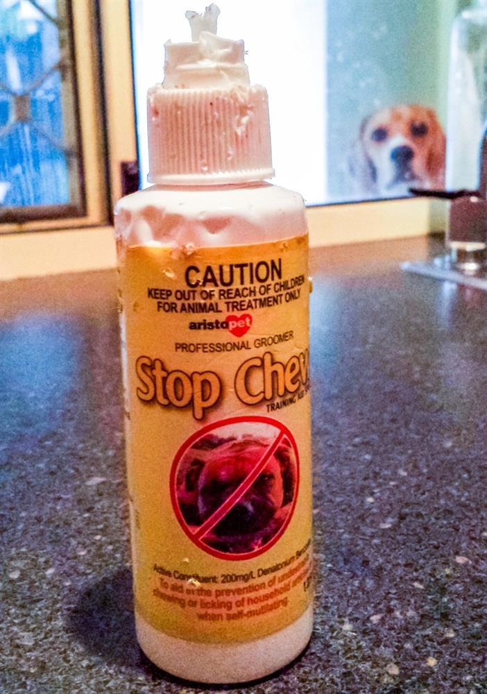 Những tình huống trái ngang đúng kiểu ném đá vào hội nghị-6