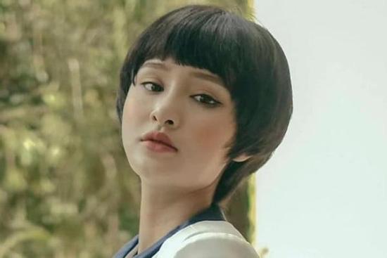 Thực hư chuyện Hiền Hồ đi An Giang 'lánh nạn'