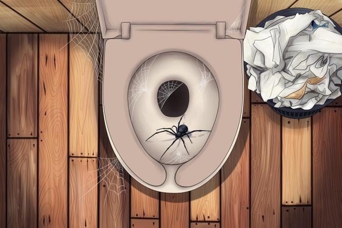 5 animals that feed in the toilet, should know to prevent unforeseen problems-3