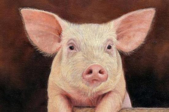 Số trời đã định: 4 con giáp đổi vận sau 35 tuổi, làm đâu thắng đó, phất lên như diều gặp gió