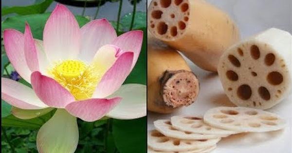 4 loại rau chất đống ký sinh trùng, mắc ổ bệnh nếu không chế biến sạch-2