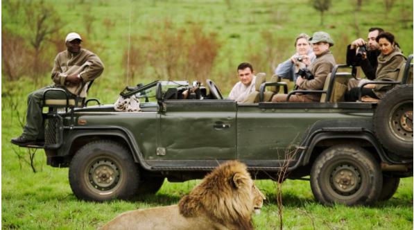 Tour du lịch hoang dã ở châu Phi lên ngôi-1