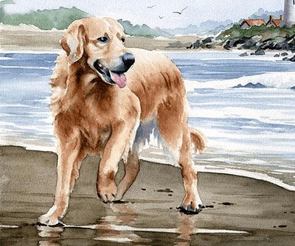 Tử vi hàng ngày 12 con giáp thứ Bảy 2/4/2022: Mão xấu tính-4