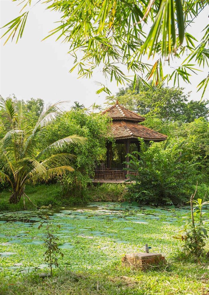 Ca sĩ Ánh Tuyết: Bỏ showbiz ở ẩn, tuổi già bệnh tật nhưng giàu có-3