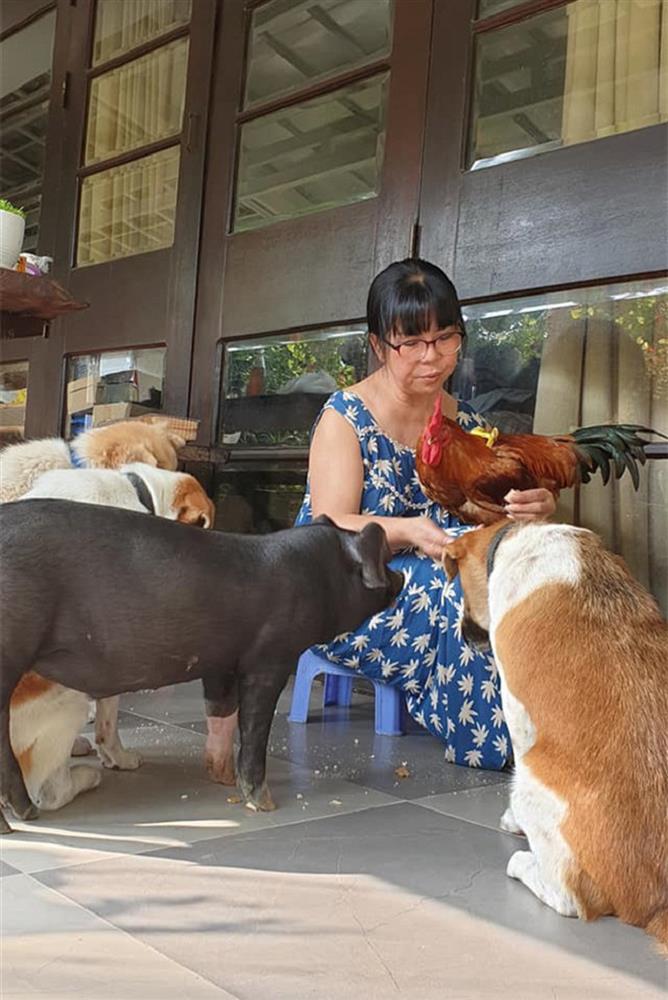 Ca sĩ Ánh Tuyết: Bỏ showbiz ở ẩn, tuổi già bệnh tật nhưng giàu có-11