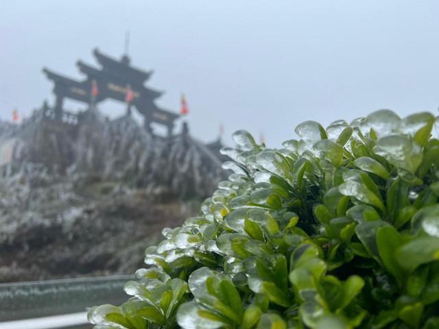 Fansipan appeared frozen in the middle of spring-2
