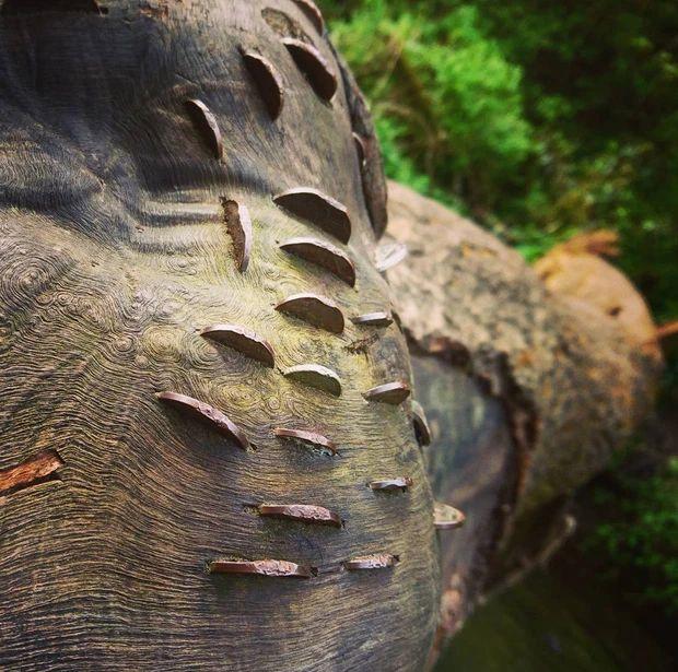 Hàng loạt khoảnh khắc gây lú khiến não bạn bị bủa vây Vì sao?-4