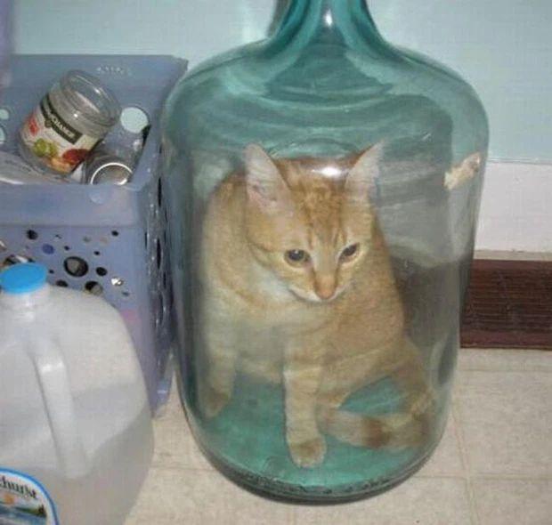 Hàng loạt khoảnh khắc gây lú khiến não bạn bị bủa vây Vì sao?-7