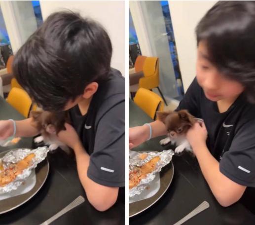 Con trai thứ 2 nhà Trương Bá Chi 12 tuổi nhìn giống hệt Tạ Đình Phong-2