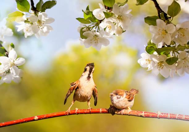 Sinh ngày Âm lịch nào có hy vọng làm giàu, vi vu khắp nơi năm nay?-3