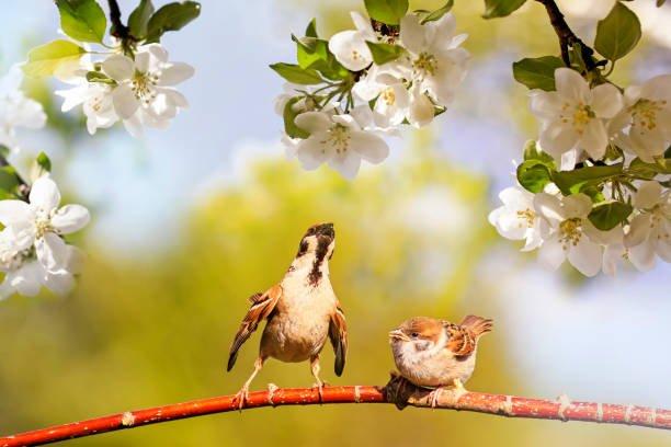 Sinh vào những ngày âm lịch này, cuộc đời bạn sẽ trải đầy hoa hồng-4