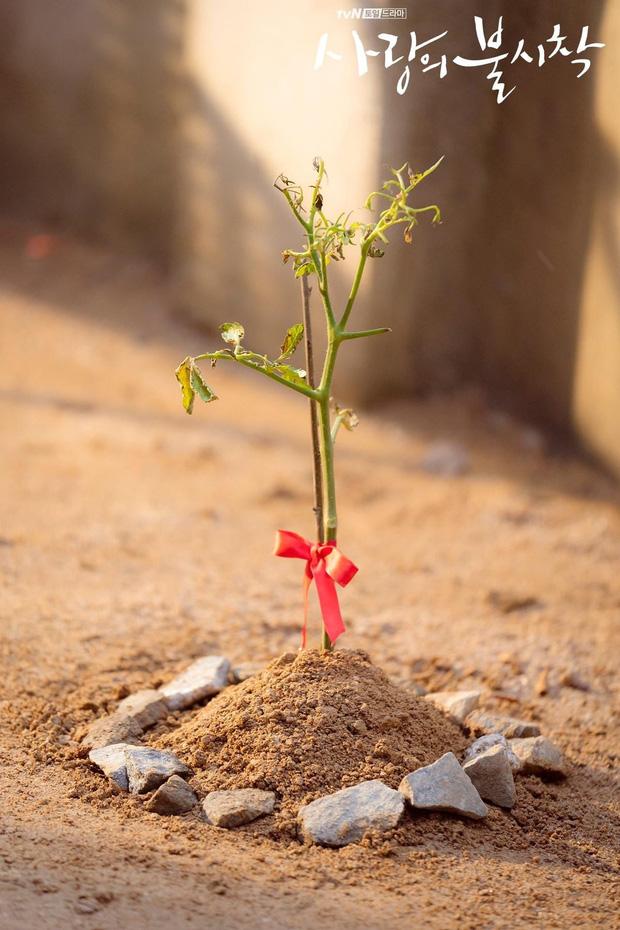 Netizens named Son Ye Jin and Hyun Bin's child Tomato because it is related to this item-5