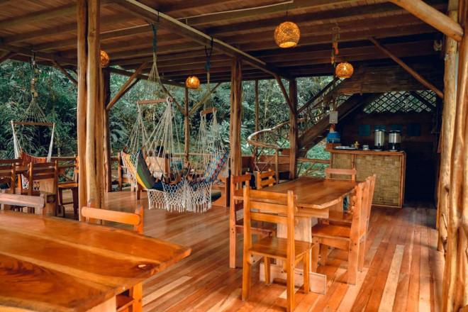 11 khách sạn trong rừng đẹp nhất thế giới, ấn tượng cái tên Việt Nam-1