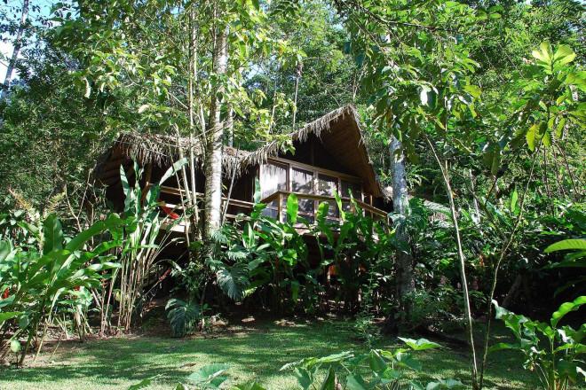 11 khách sạn trong rừng đẹp nhất thế giới, ấn tượng cái tên Việt Nam-6