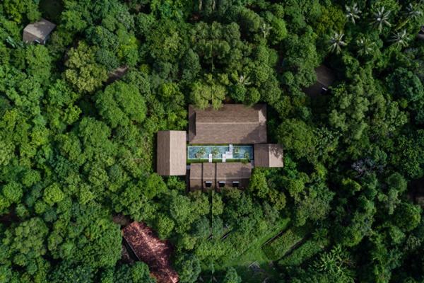 11 of the most beautiful hotels in the forest in the world, impressive the name of Vietnam