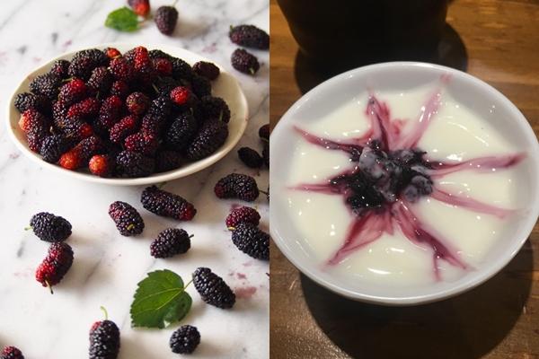6 delicious dishes from the wild mulberry fruit